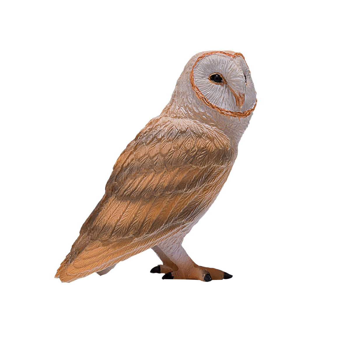 Mojo Wildlife Schleiereule – 381054