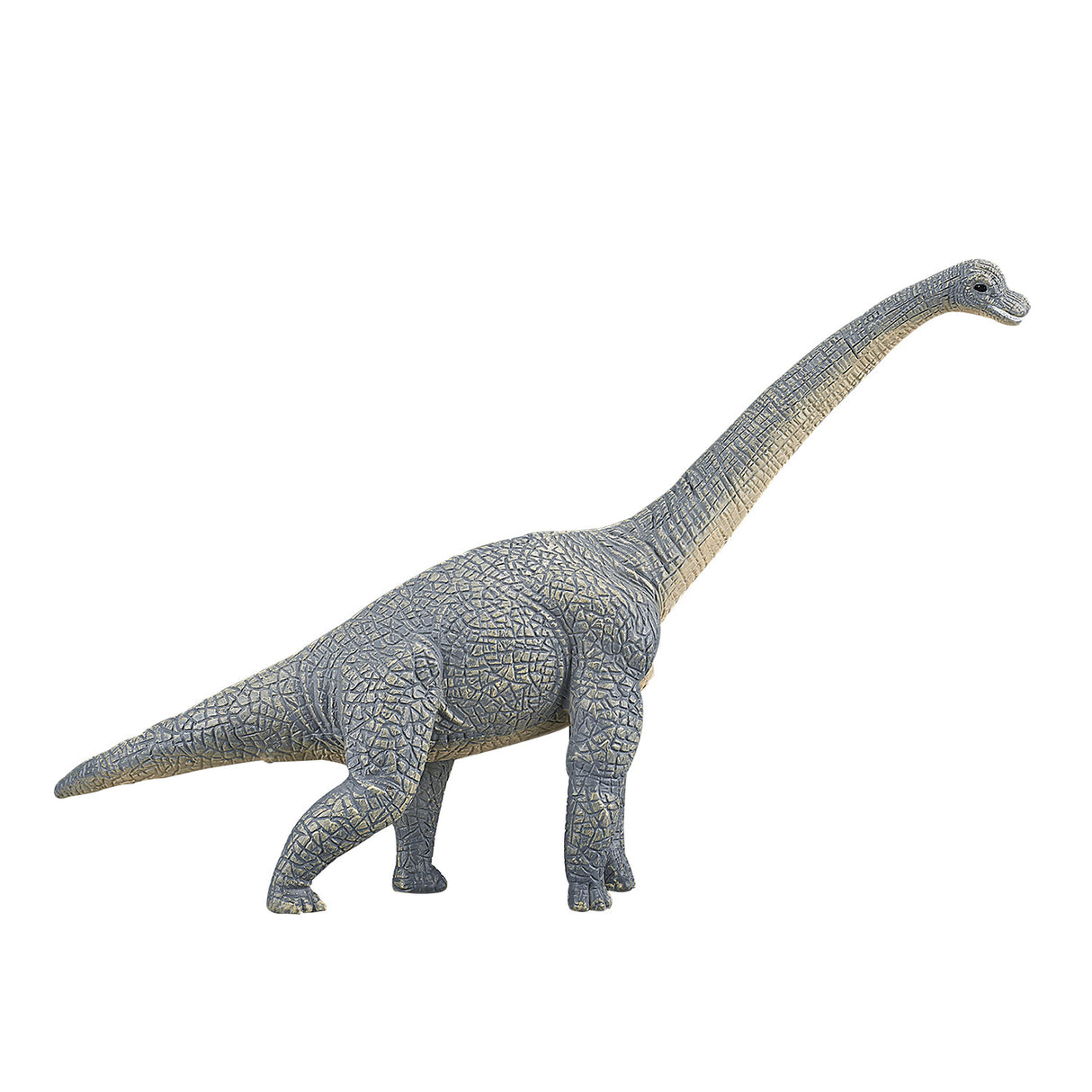 Mojo Prehistory Brachiosaurus 387044