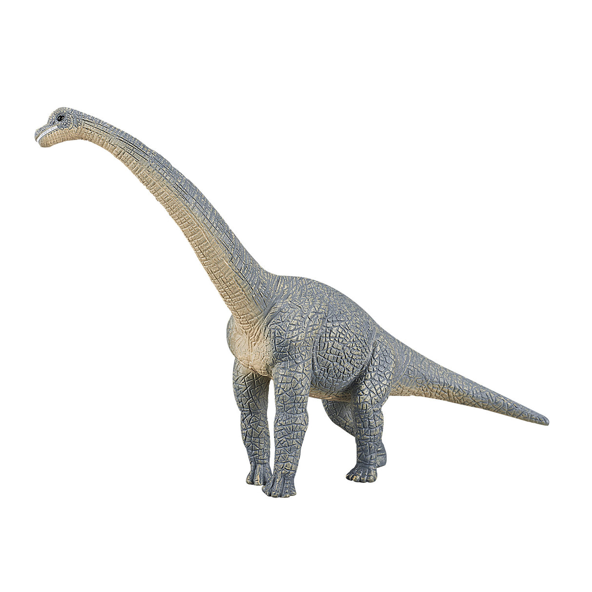 Mojo Prehistory Brachiosaurus 387044