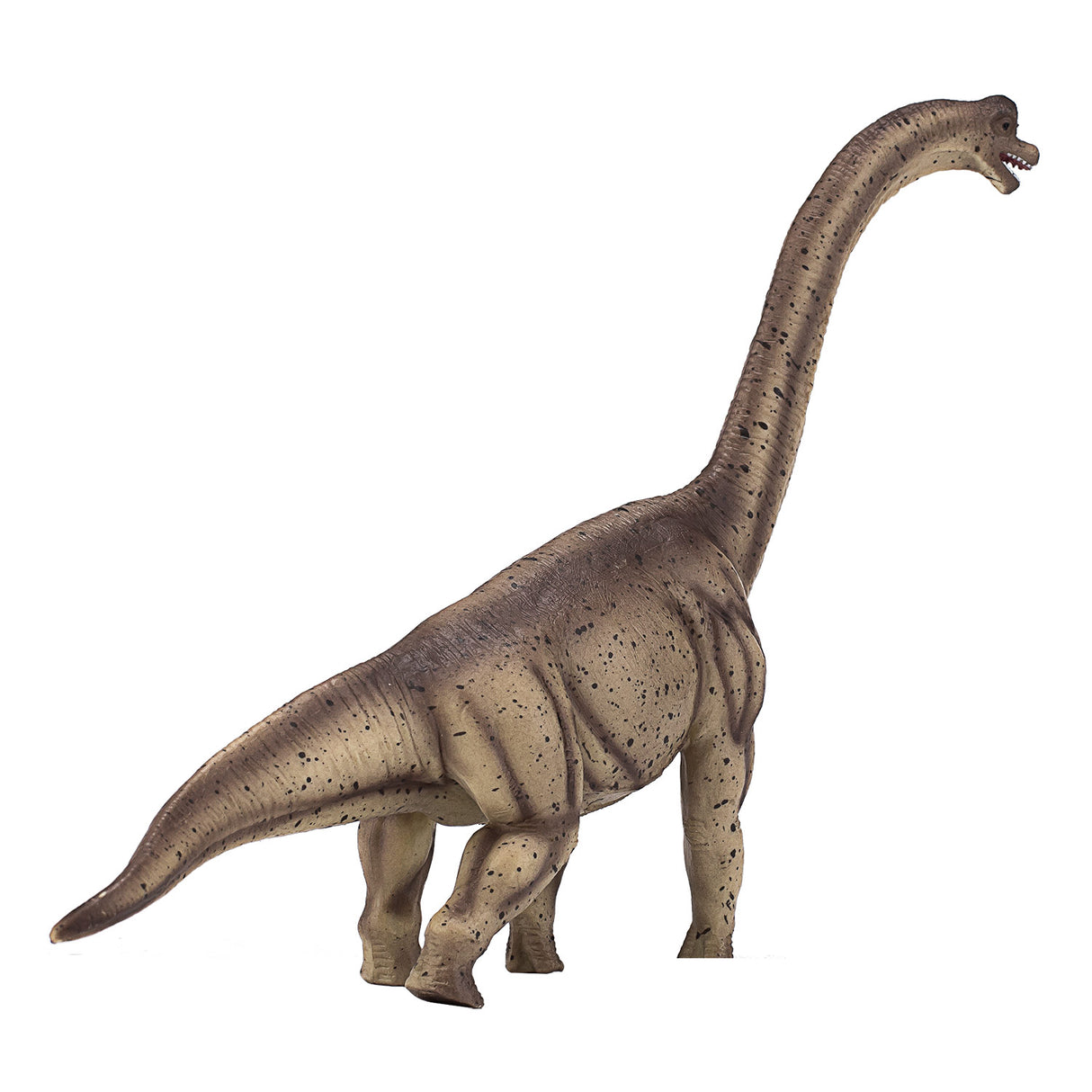 MOJO PRÉHISTOIRE DE DELUXE BRACHIOSAURUS 387381