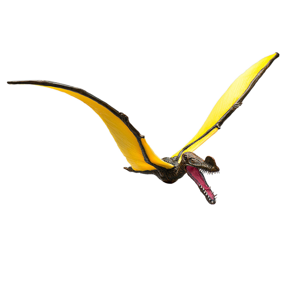 Mojo-Vorgeschichte Tropeognathus - 387375
