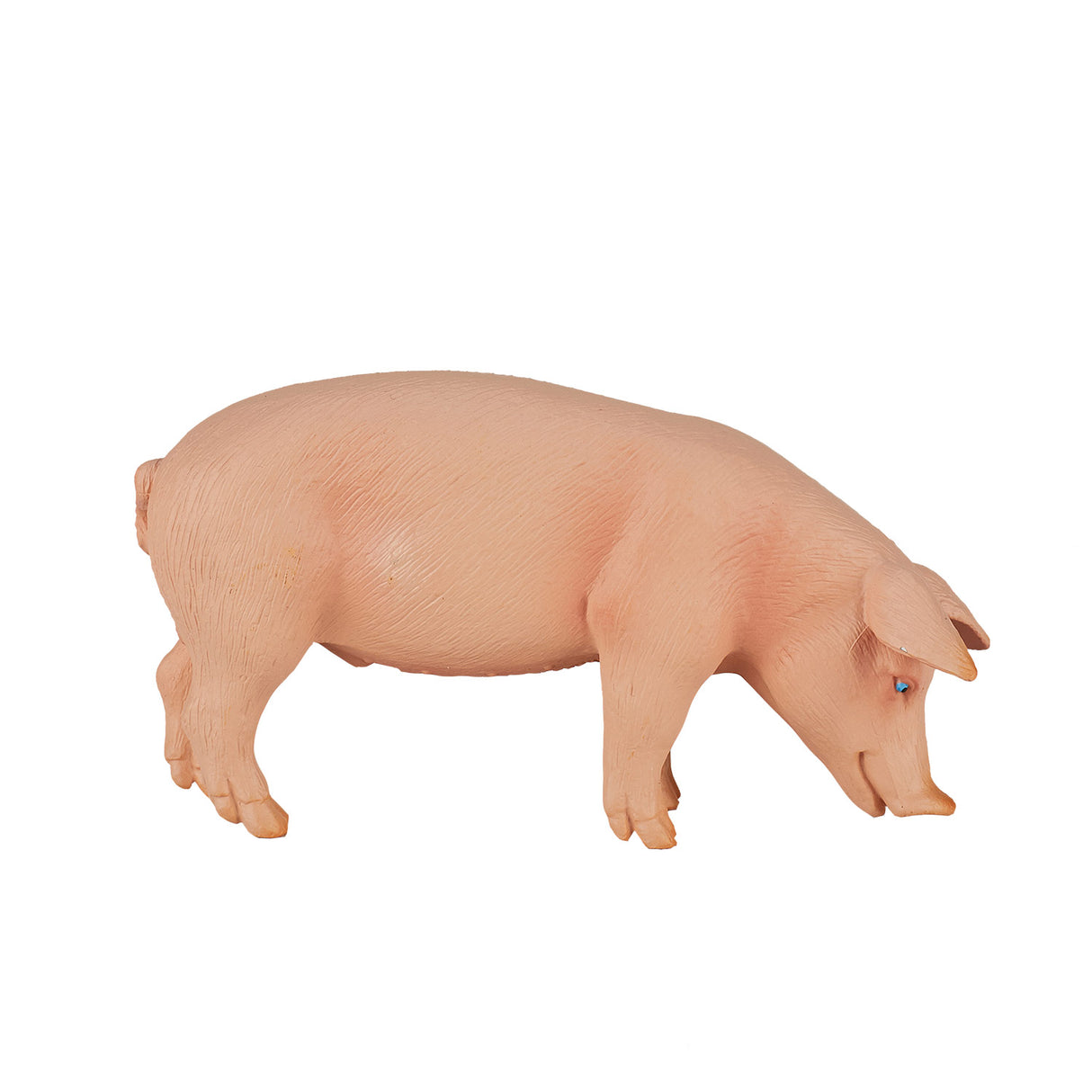 Mojo Ackerlandschwein Eber – 387080