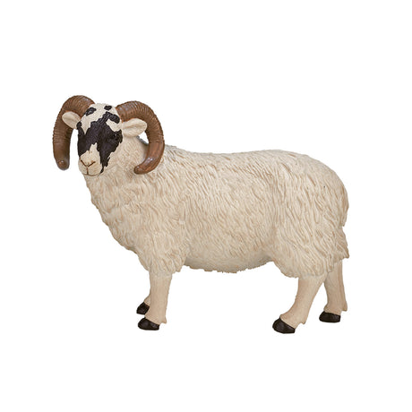 Mojo Ackerland Schafbock mit schwarzem Kopf – 387081