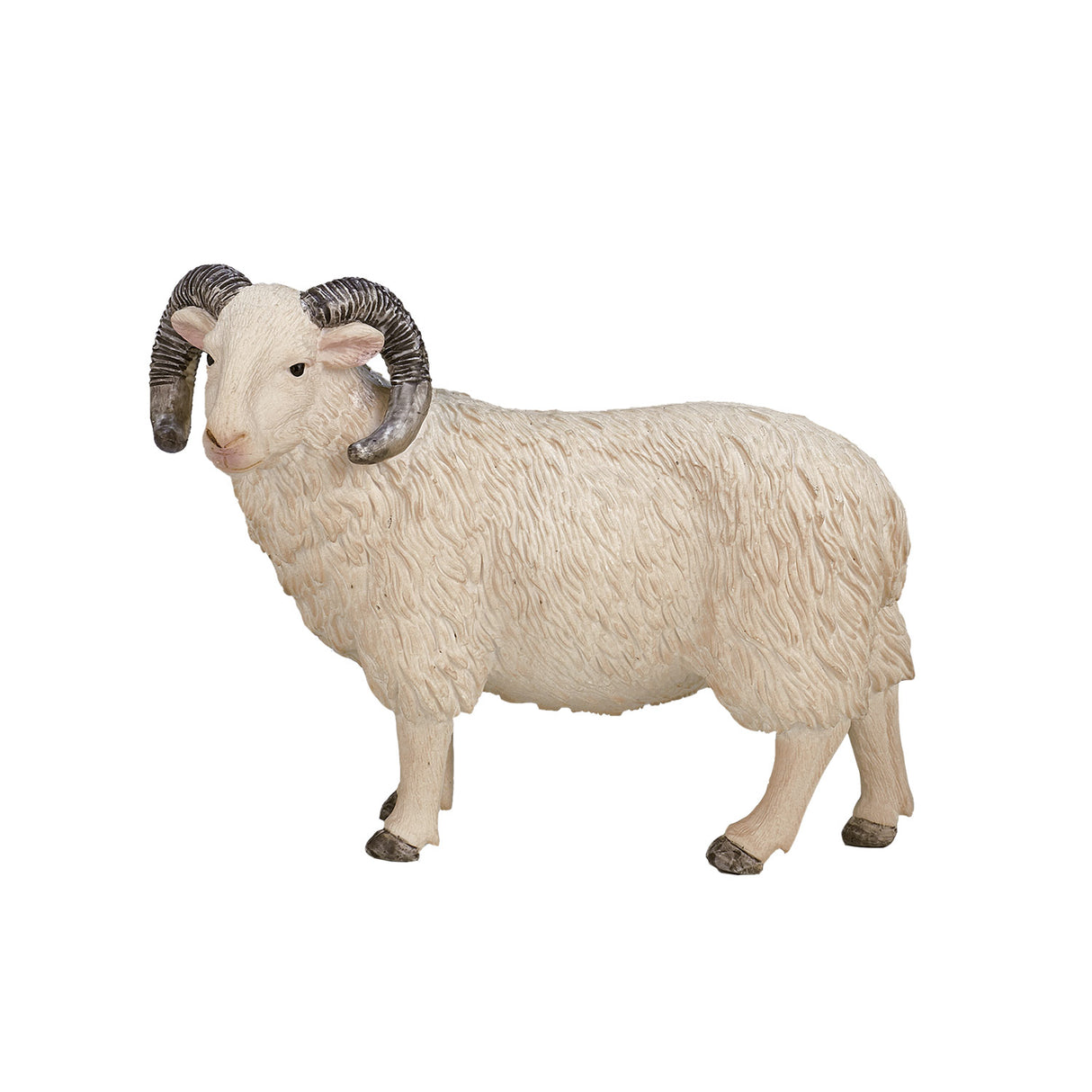 Mojo Ackerland Schaap Ram 387097