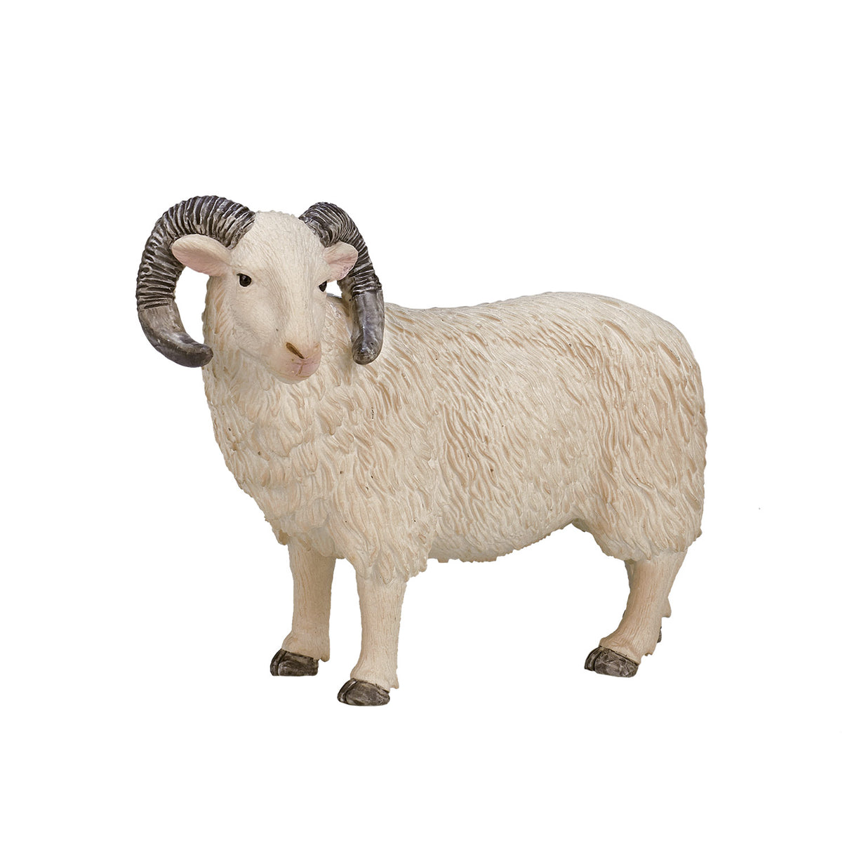 Mojo Ackerland Schaap Ram 387097