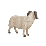 Mojo Ackerland Schaap Ram 387097