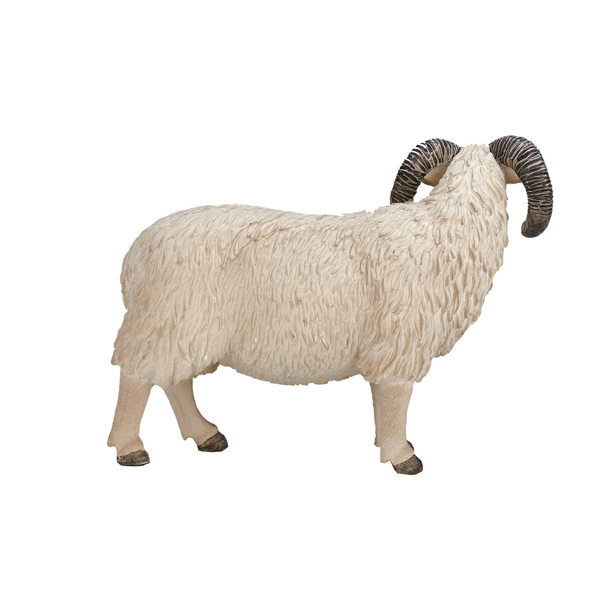 Mojo Ackerland Schaap Ram 387097