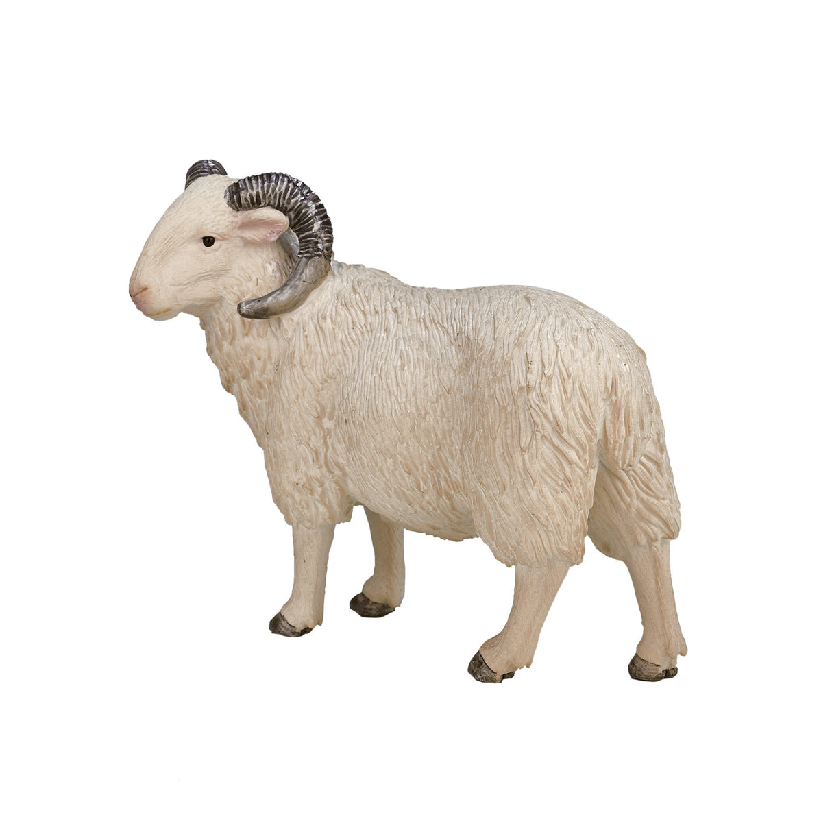 Mojo Ackerland Schaap Ram 387097