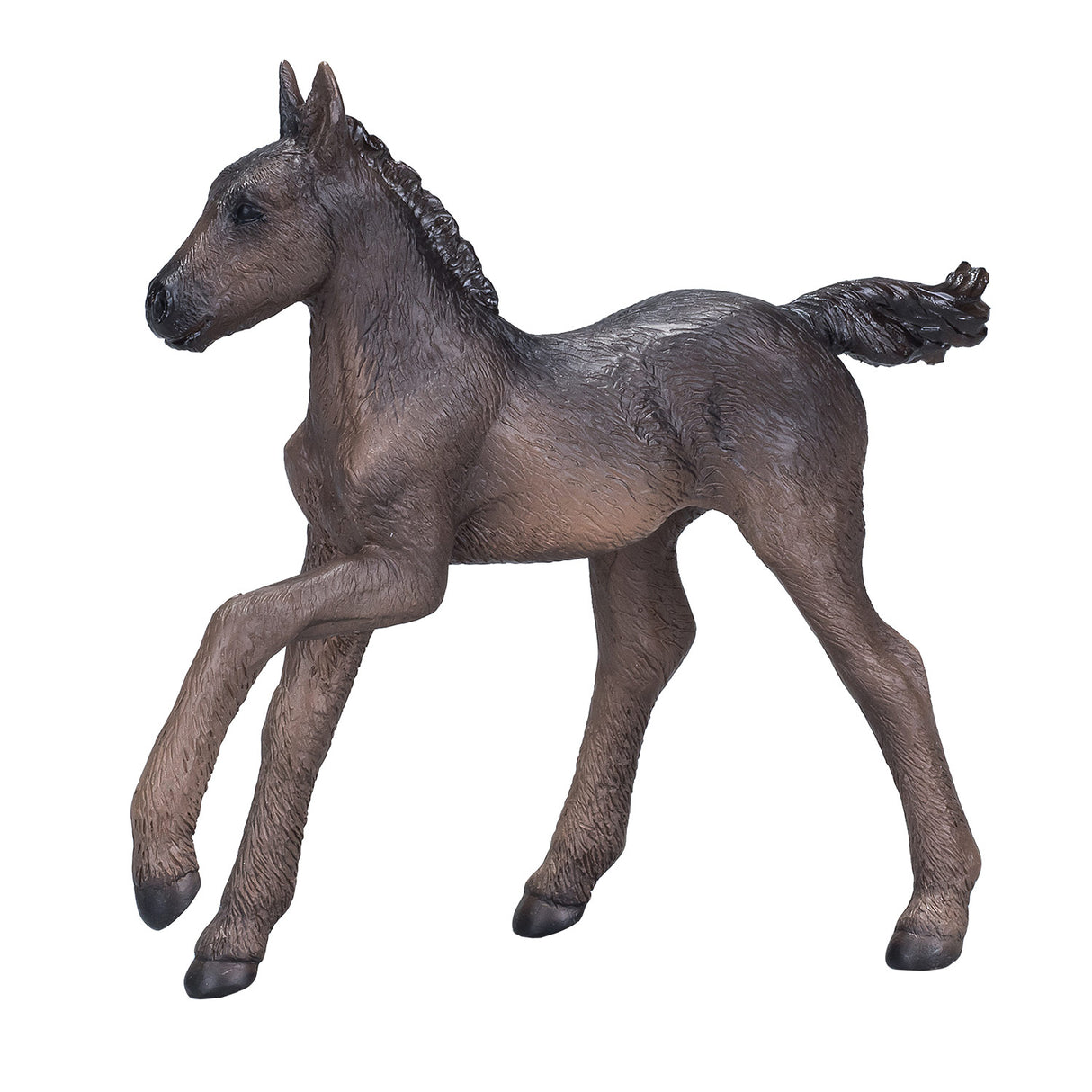 Mojo Päerdsartikel Arabesch Foal Black 381015