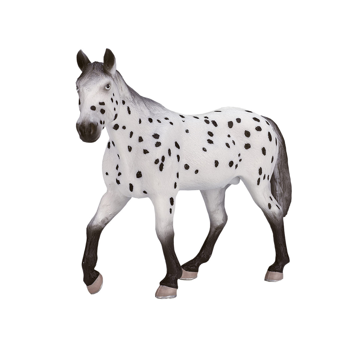 Mojo Päerd Welt Appaloosa Hangst 387108