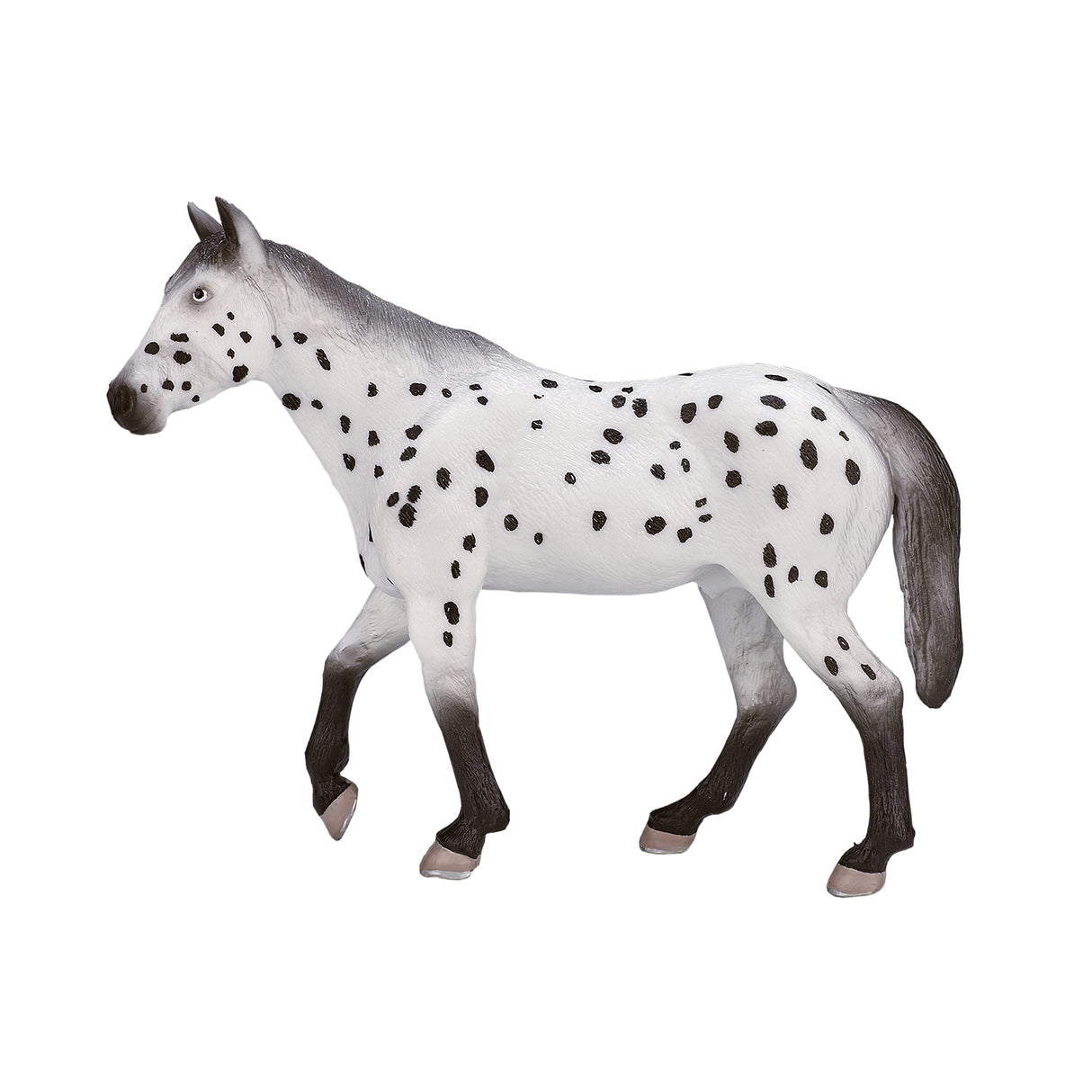 Mojo Päerd Welt Appaloosa Hangst 387108