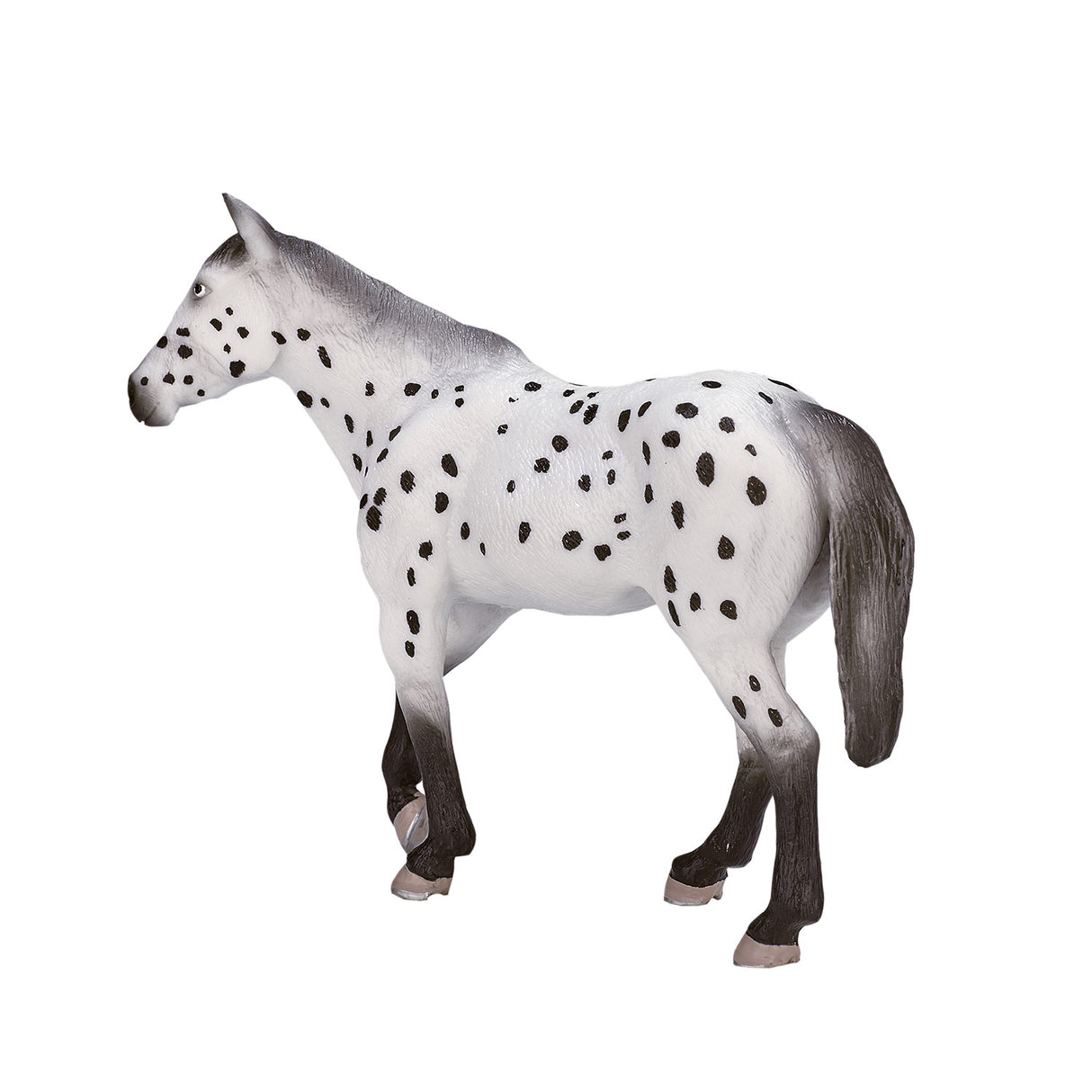 Mojo Päerd Welt Appaloosa Hangst 387108