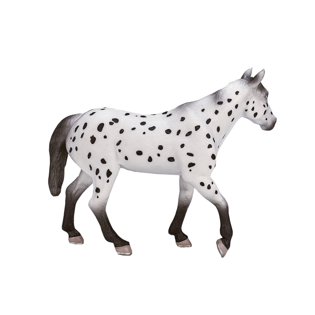 Mojo Päerd Welt Appaloosa Hangst 387108