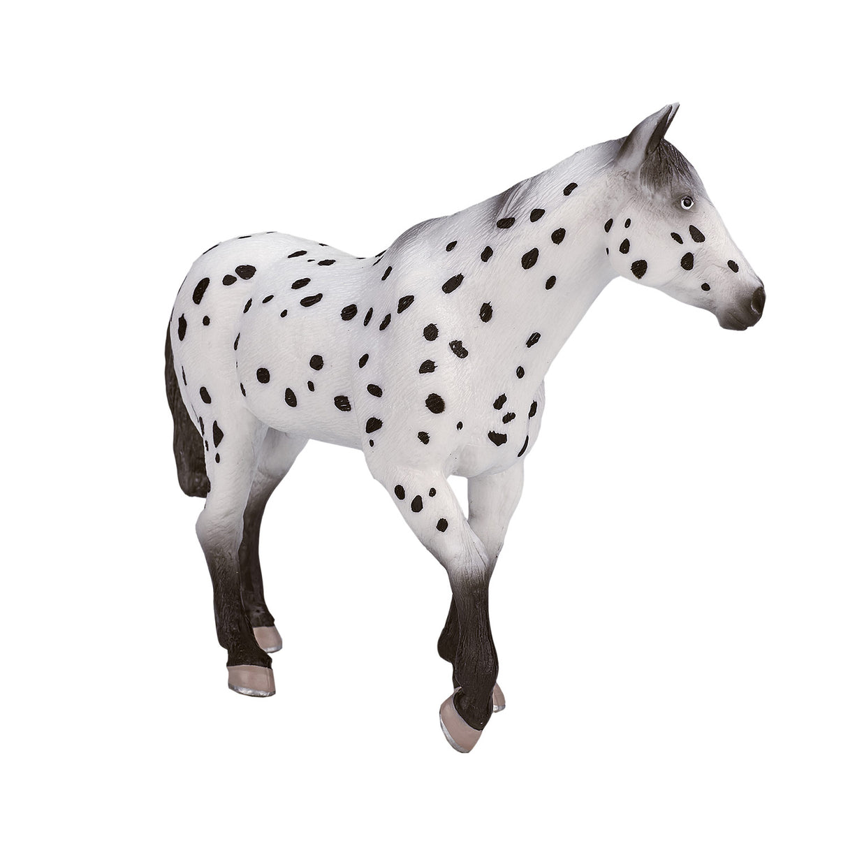 Mojo Päerd Welt Appaloosa Hangst 387108