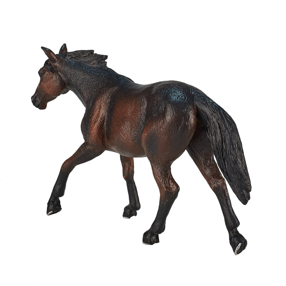 Mojo konj World Quarter Horse Donkerbruin 387151