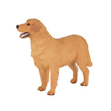 Mojo Bauereland Golden Retriever 387198