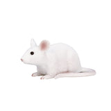 Mojo Ackerlandmaus - 387235