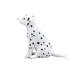 Mojo Ackerland-Dalmatiner-Welpe – 387249
