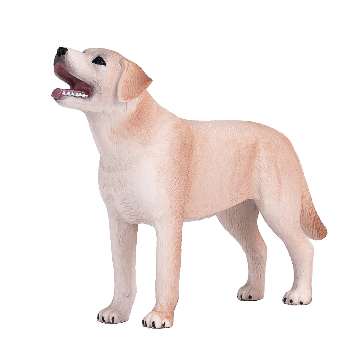 Mojo Ackerland Labrador – 387271