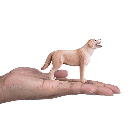 Mojo Ackerland Labrador 387271
