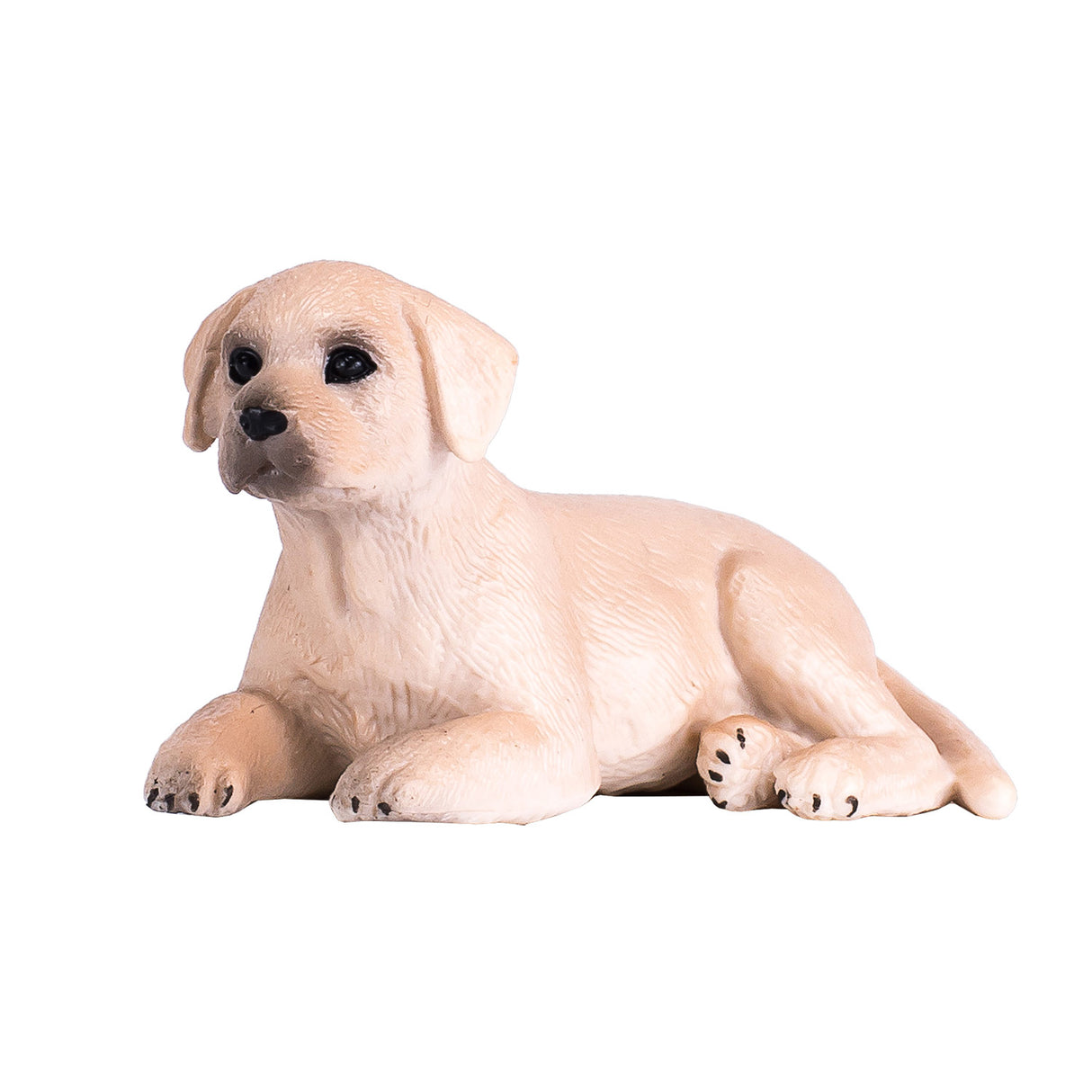 Mojo Ackerland-Labrador-Welpe – 387272