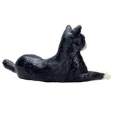 Mojo Grains Lied Cat Black and White 387367