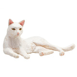 Mojo Ackerland liegende Katze weiß - 387368