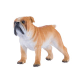 Mojo Farmland English Bulldog 381053