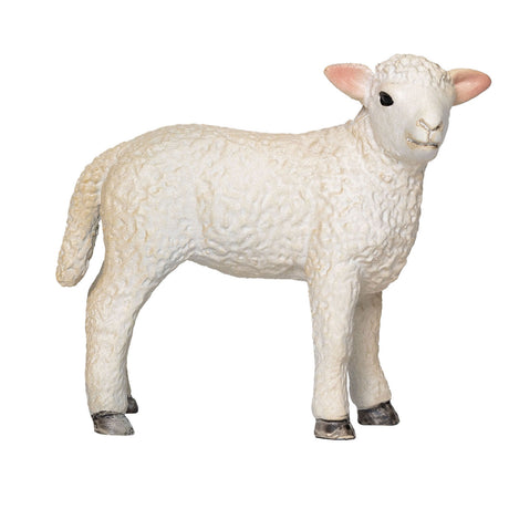 Mojo Ackerland Romney Lam Standing - 381065