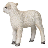 Mojo Ackerland Romney Lam Standing - 381065