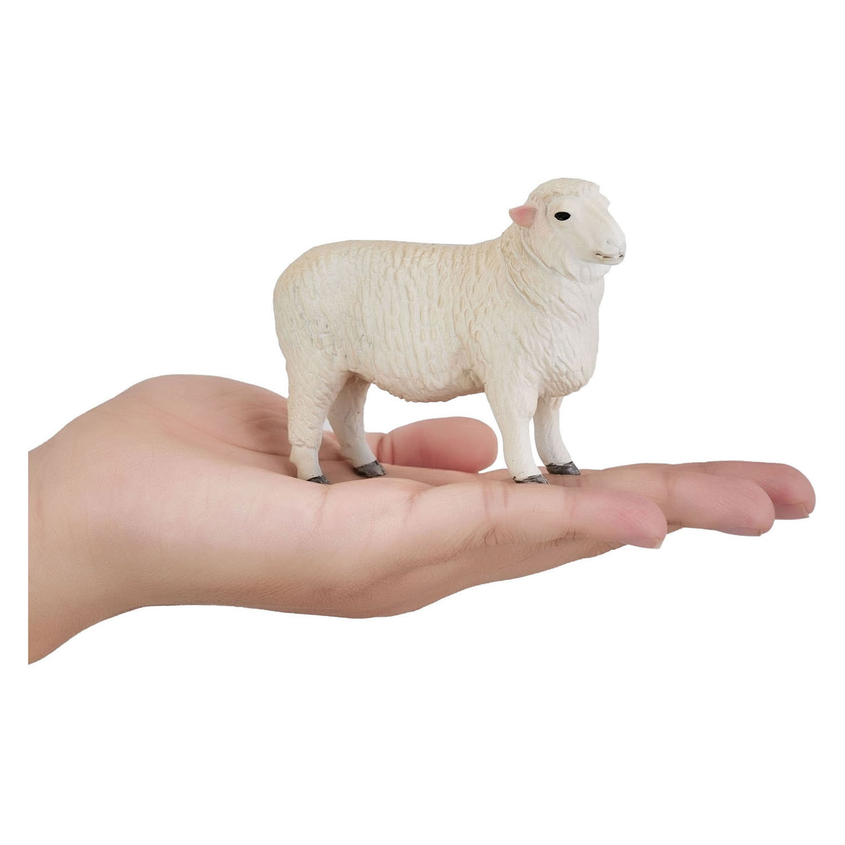 MOJO FARMERS ROMNEY SCHAAP RAM 381063