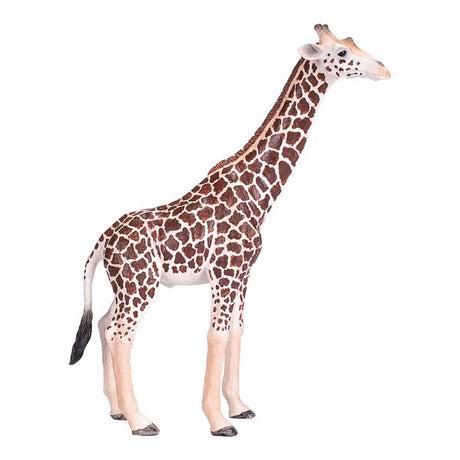 Mojo Wildlife Wildtier-Safari-Spielset, 6-teilig. - 380026