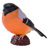 Mojo Ackerland-Gimpel - 381113