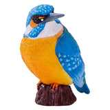 Mojo-Ackerland-Eisvogel - 381116