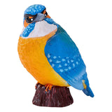 Mojo-Ackerland-Eisvogel - 381116