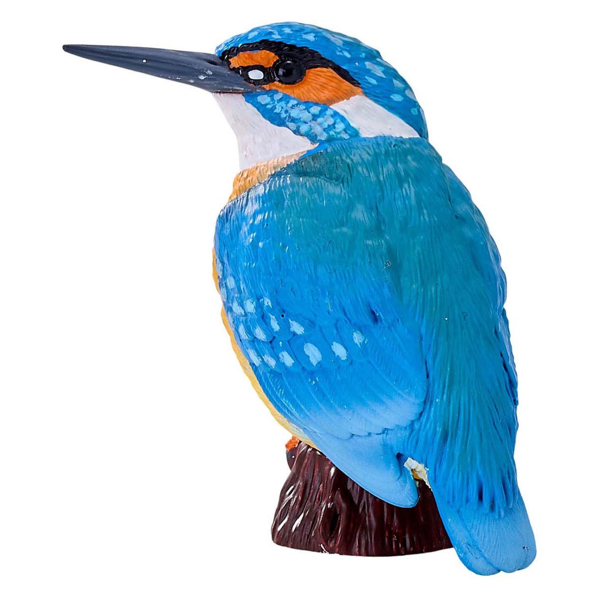 Mojo-Ackerland-Eisvogel - 381116