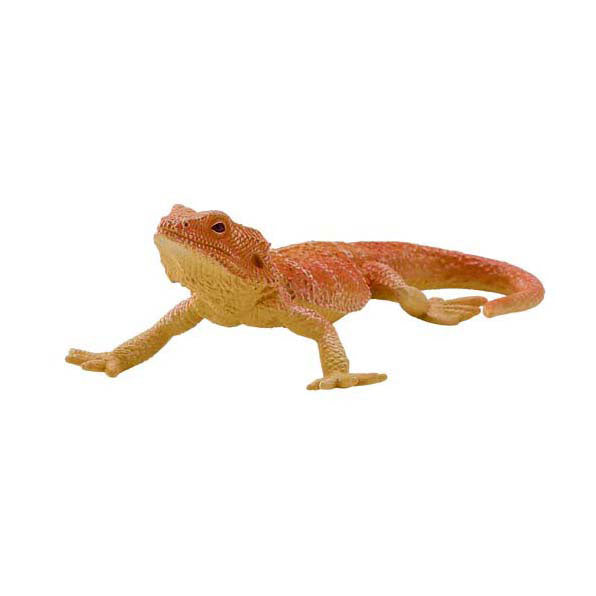Mojo Wildlife Bartagamen – 381096