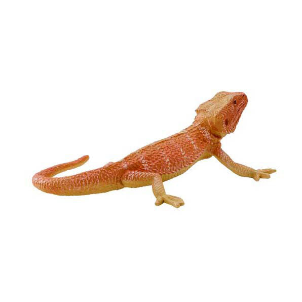 Mojo Wildlife Bartagamen – 381096