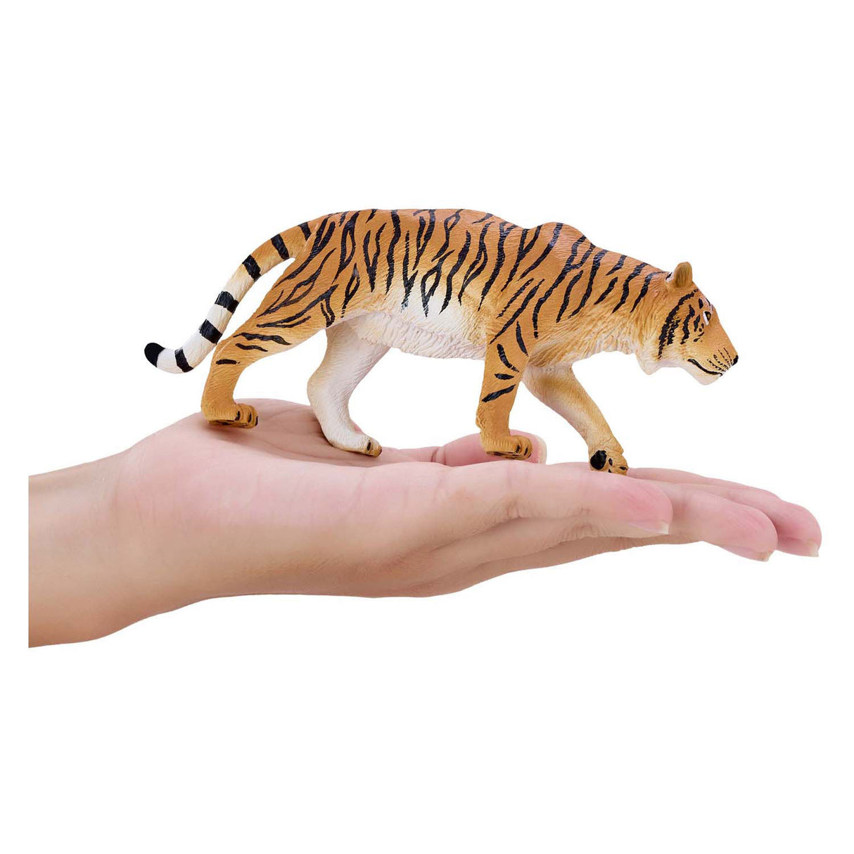 Mojo Wildtier jagt Tiger – 381106