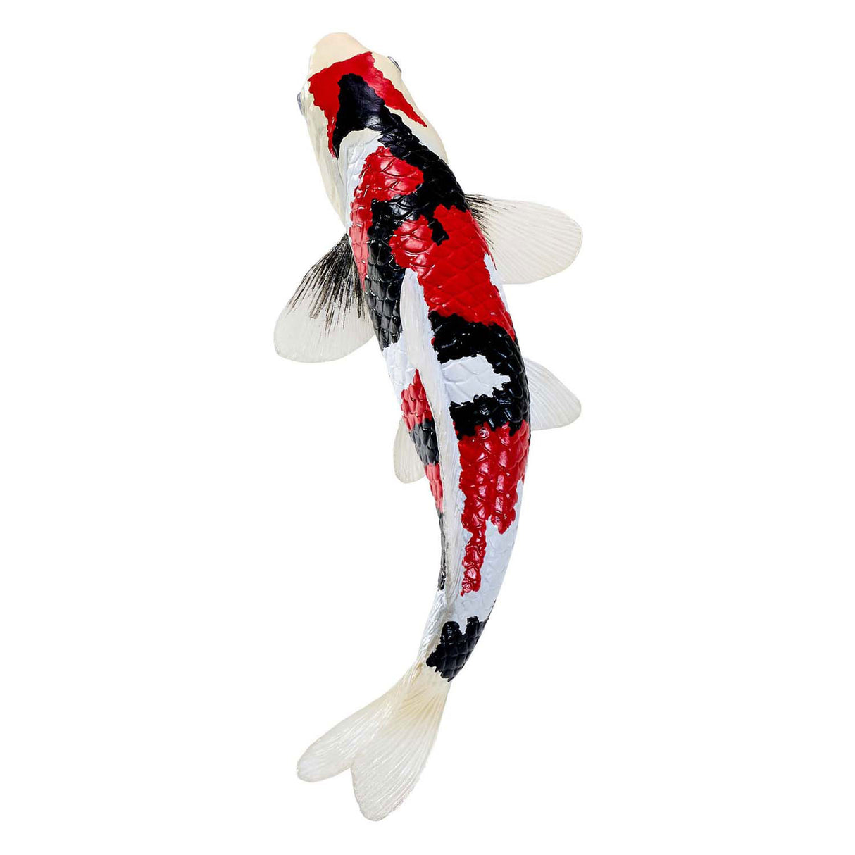 Mojo Sealife Koi-Karpfen – Showa Sanshoku Koi – 381103