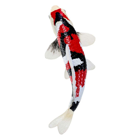 Mojo Sealife Koi-Karpfen – Showa Sanshoku Koi – 381103
