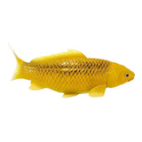 Mojo koi collection - kin matsuba koi goud 381123