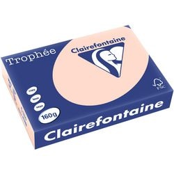 Clairefontaine a4 gekleurd papier zalmroze 160 g m² 250 vellen