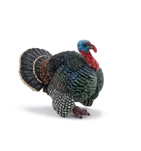 Schleich Truthahn. 3+