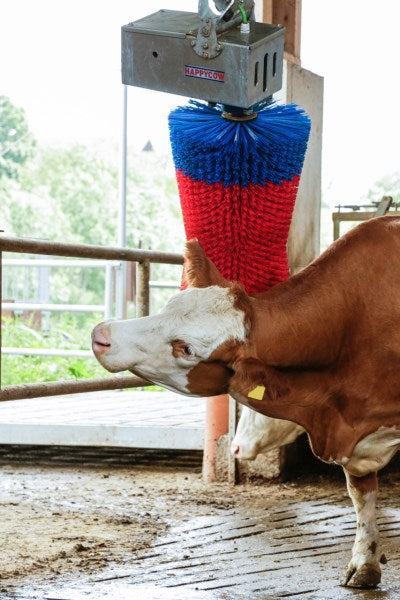 Produkte Happycow Kuhbürste Maxiswing
