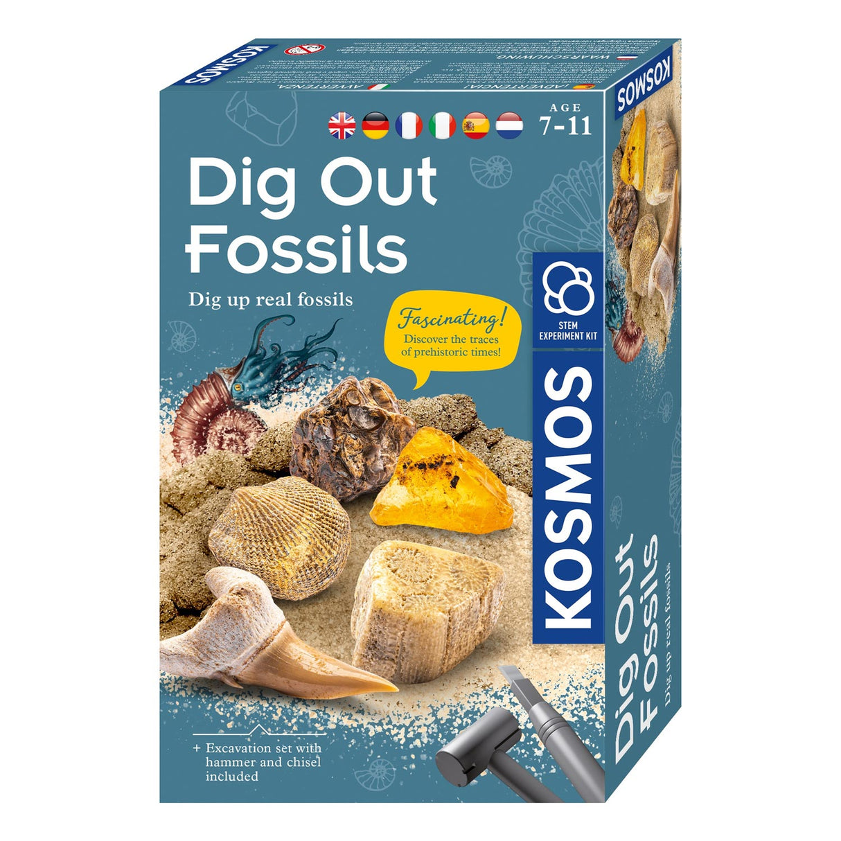 Kosmosfossilien herausarbeiten