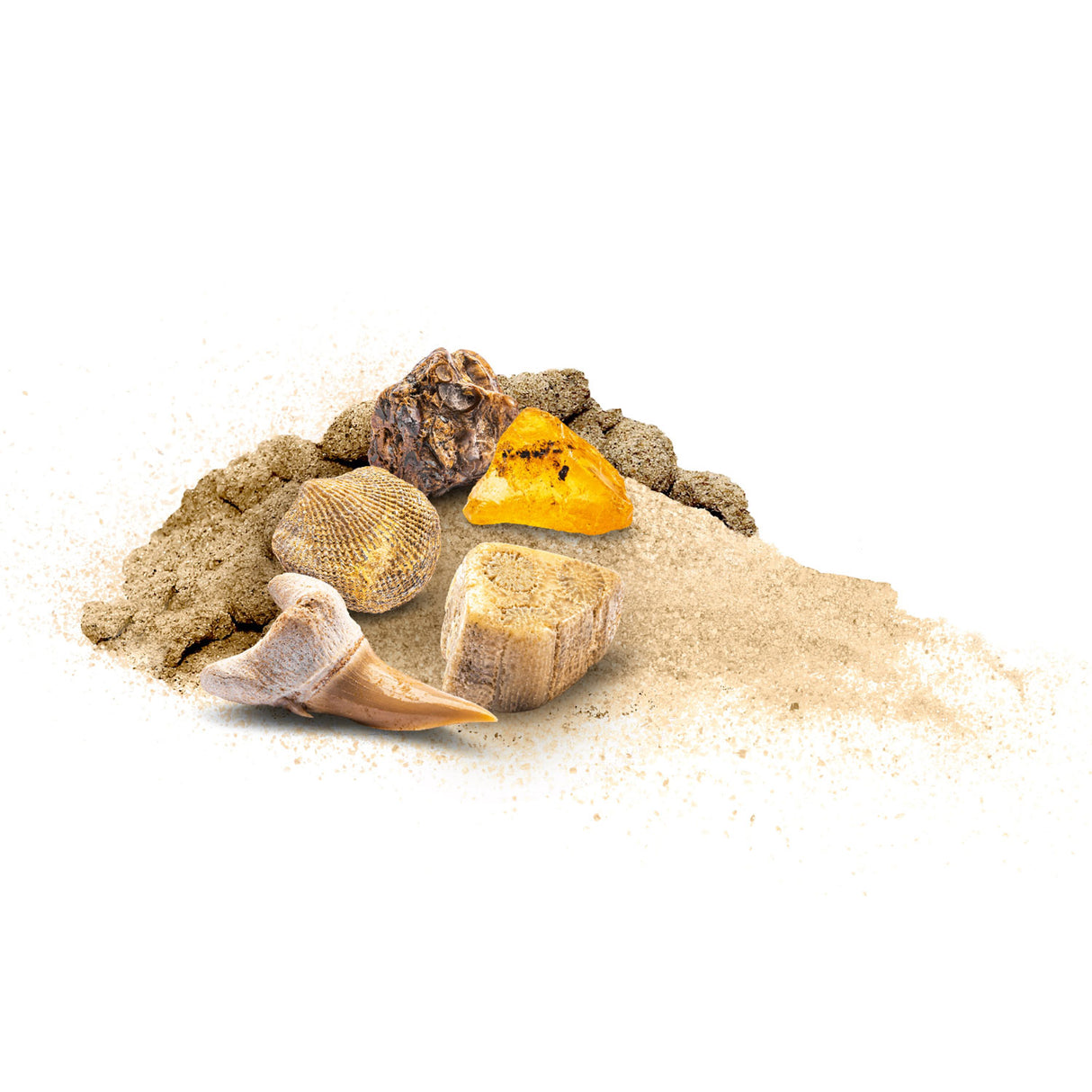 Kosmosfossilien herausarbeiten