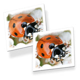 Taktische Memo-Bugs