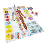 Taktik, die ich lerne: Der menschliche Körper - Brettspiel - pädagogisch - Entdecken Sie den menschlichen Körper und lernen Sie etwas über Anatomie - 2 bis 5 Spieler - ab 7 Jahren