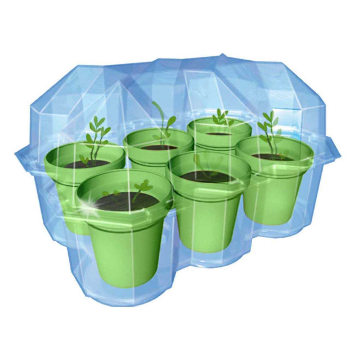 Selecta Cosmos Mimosa Gartenspielset
